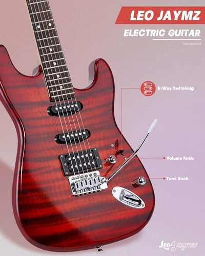 Leo Jaymz 39 Full Size ST Style Electric Guitar Starter Kit with SSH Pickup, 5W Portable Amp, Tuner, Gig Bag, Strap & Accessories (Violet Ocean) - Image 83