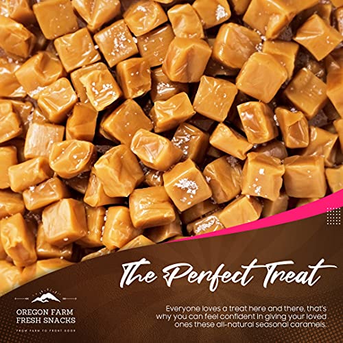 Oregon Farm Fresh Snacks Salted Caramel Gourmet Candy – Oregon Made Caramel Candy with Sea Salt and Vanilla – Gluten Free Delicious Chewy Sea Salt Caramels – Soft Caramels Individually Wrapped (16 oz) - Image 4