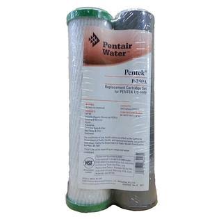Pentek P-250 / P-250A Replacement Filter Set 15583244 - Image 4