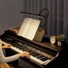 BOLOWEI 22?? LED Piano Lamp, 10W Professional Piano Light with Clamp – Eyes-Care, 3 Color Modes, Stepless Dimming, Great for Grand Piano Music Stand Light