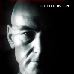 Rogue: Section 31 (Star Trek: The Next Generation Book 2)