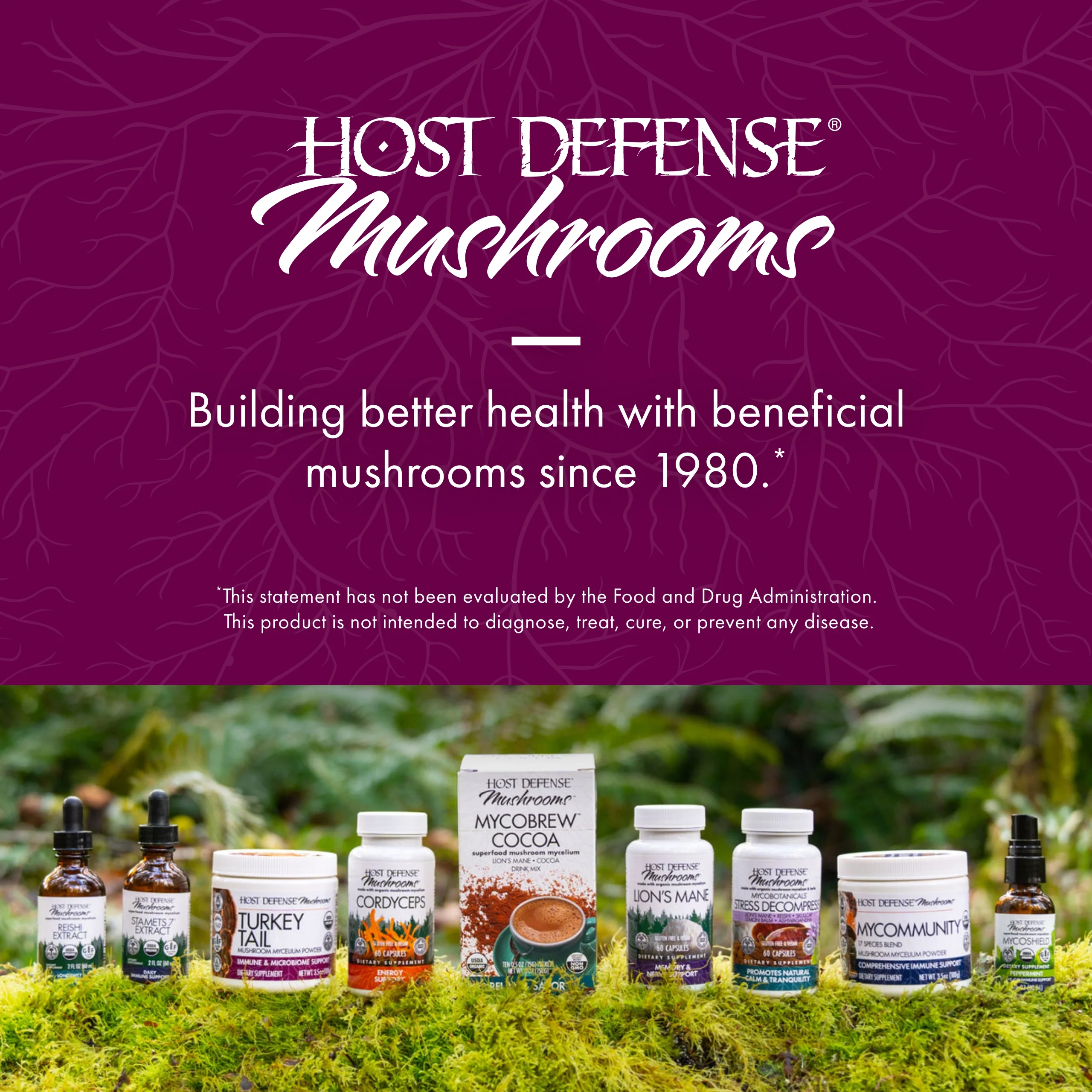Host Defense, Turkey Tail Capsules, Natural Immune System and Digestive Support, Mushroom Supplement, Unflavored, 60 - Image 6