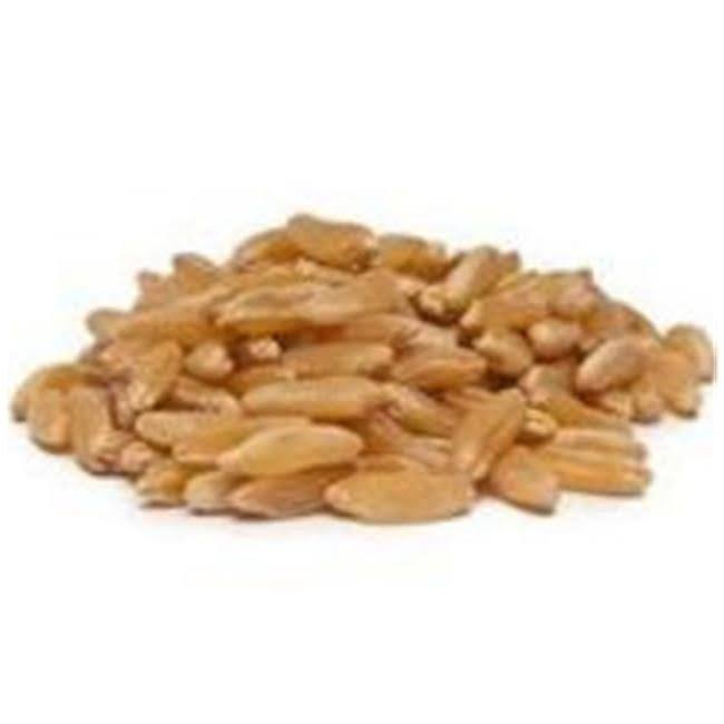 Bulk Grains 100% Organic Kamut Berries 25 lbs - Image 2
