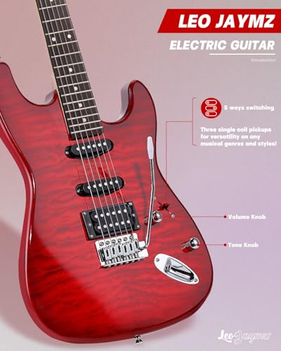 Leo Jaymz 39 Full Size ST Style Electric Guitar Starter Kit with SSH Pickup, 5W Portable Amp, Tuner, Gig Bag, Strap & Accessories (Violet Ocean) - Image 95
