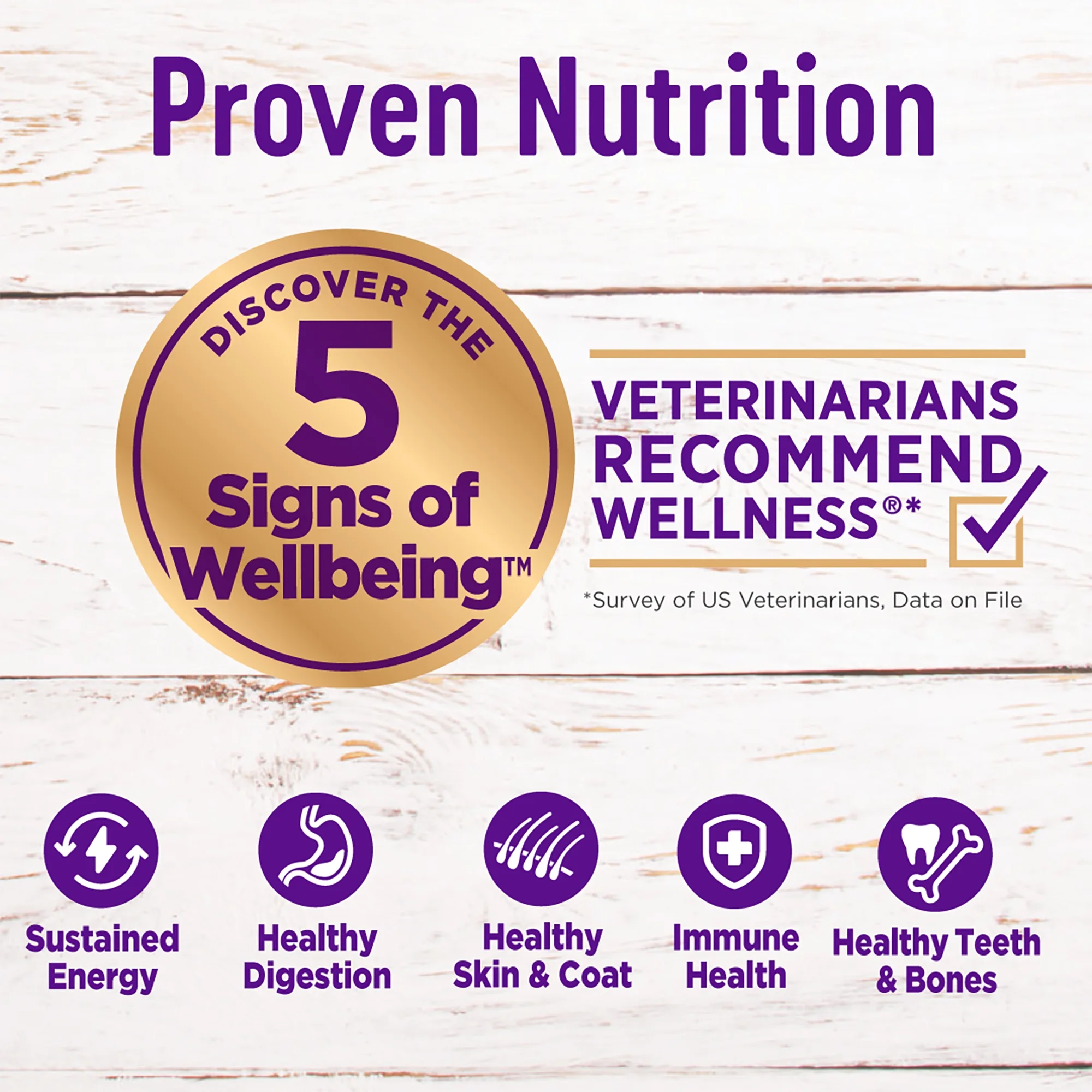Wellness Complete Health Natural Grain Free Dry Dog Food, Chicken, 24-Pound Bag - Image 2