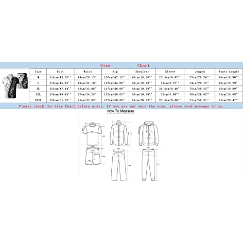 Mens Printed Outfits Zipper Short Sleeve Lapel Shirts Short 2 Piece Outfits Sets For Men Summer Beach Outfits Suits - Image 6