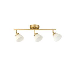 Allen + Roth Dallas 3-Light 23.25-in New Soft Gold Dimmable Track Bar Fixed Track Light Kit