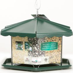 Homestead Triple Bin Party Bird Feeder