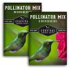 Survival Garden Seeds – Hummingbird Pollinator Mix Wildflower Seed for Planting – Packet with Instructions to Plant and Grow Flowering Plants in Your Home Vegetable Garden – Non-GMO Heirloom Varieties