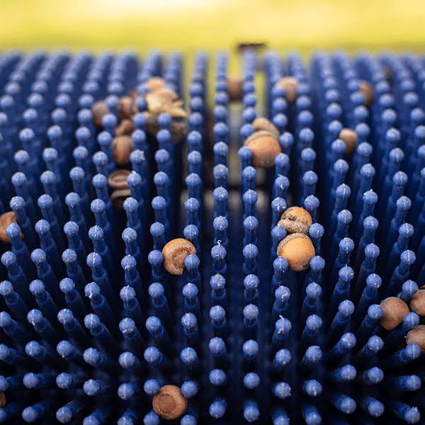 Bag-A-Nut Small Acorn Picker Upper – 36×22 Push Collector - Image 7